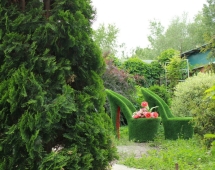 Топиари вазон Туфелька принцессы - газон Eco