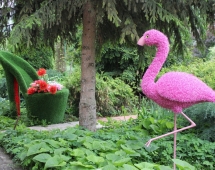 Топиари вазон Туфелька принцессы - газон Eco