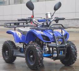 Квадроцикл RAPTOR Max Pro 49cc (2024), фото 4