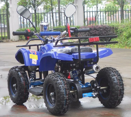 Квадроцикл RAPTOR Max Pro 49cc (2024), фото 3