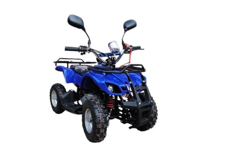 Квадроцикл RAPTOR Max Pro 49cc (2024), фото 1