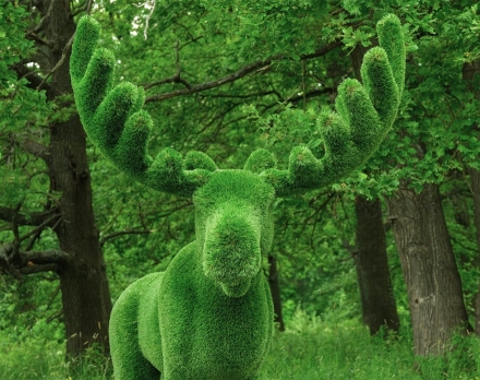 Топиари лось Карыч - газон Deluxe, фото 4