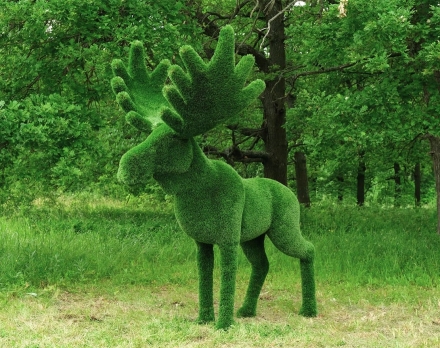 Топиари лось Карыч - газон Deluxe, фото 1