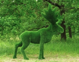 Топиари лось Карыч - газон Deluxe, фото 3