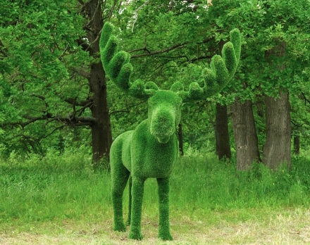 Топиари лось Карыч - газон Deluxe, фото 2