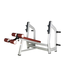 BRONZE GYM H-024_C Скамья для жима с отрицательным наклоном