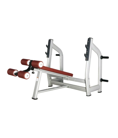 BRONZE GYM H-024_C Скамья для жима с отрицательным наклоном, фото 1