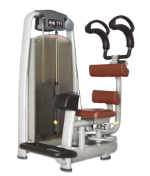 BRONZE GYM A9-011_C Торс-машина