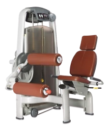 BRONZE GYM A9-13_C Сгибание ног сидя