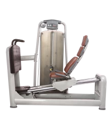 Жим ногами BRONZE GYM A9-015