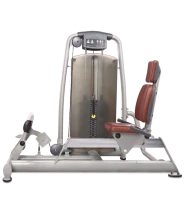 BRONZE GYM A9-17A_C Голень-машина