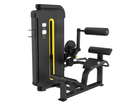 Разгибание спины SVENSSON INDUSTRIAL H3031 (matte black)