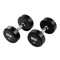 BRONZE GYM BG-PA-DB-R100 Гантель обрезиненная 10 кг