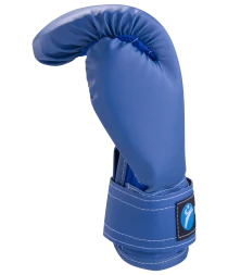 Перчатки боксерские Rusco 10oz, к/з, синие, фото 3