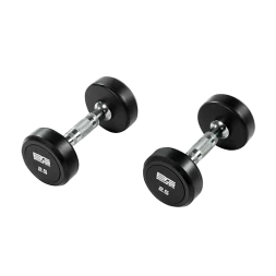 BRONZE GYM BG-PA-DB-R025 Гантель обрезиненная 2,5 кг