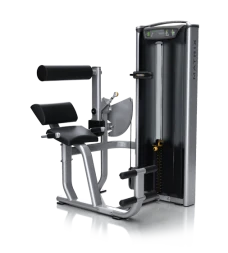 Разгибание спины MATRIX VERSA VS-S52P 