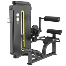 BRONZE GYM BW-3031 Разгибание спины
