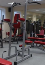 Турник+Пресс+Брусья AEROFIT IFPT