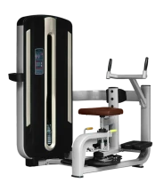 BRONZE GYM MNM-011 Торс-машина