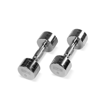 BRONZE GYM BG-PA-DB-C06 Гантель хромированная 6 кг