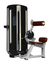 BRONZE GYM MNM-009 Разгибание спины