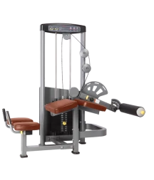  Сгибание ног лежа BRONZE GYM D-013A