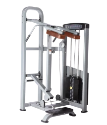 BRONZE GYM D-017_C Голень-машина