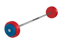 Штанга неразборная &quot;Barbell&quot; с цветными дисками d 25 мм, 30 кг