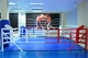 Ринги напольные на упорах или растяжках