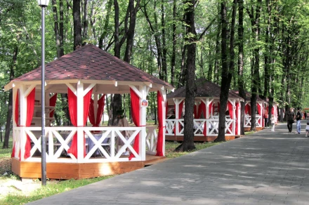 Восьмигранная беседка АТЛАНТА, фото 7