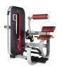Изображение товара BRONZE GYM MT-009_C Разгибание спины