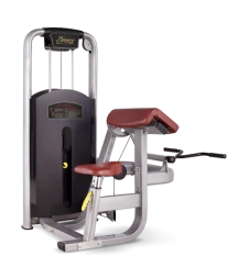 BRONZE GYM MV-006_C Бицепс-машина