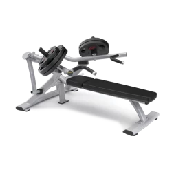 MATRIX MAGNUM MG-PL13 Iced Silver Независимая прямая скамья для жима