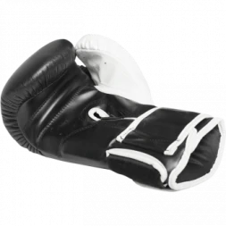 Боксерские Перчатки Hardcore Training hctboxglove03, фото 4