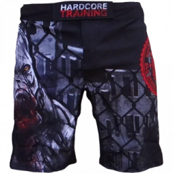 Шорты Hardcore Training hctshorts018, фото 3