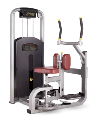 BRONZE GYM MV-011_C Торс-машина