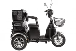 Электротрицикл RuTrike S2 L1 , фото 2