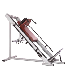 BRONZE GYM H-022A_C Гак-машина