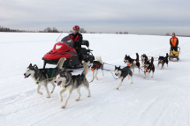 Снегоход РМ Тайга Варяг 550 V