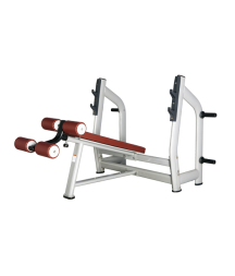 BRONZE GYM H-024_C Скамья для жима с отрицательным наклоном