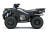 Квадроцикл KAWASAKI Brute Force 750 EPS (2024) (ПСМ)