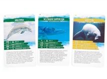 Секреты Планеты. Морские Обитатели