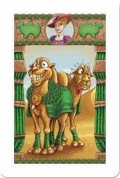Camel Up!, фото 2