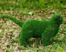 Топиари кот Барсик - газон Eco