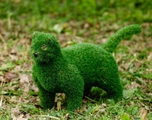 Топиари кот Барсик - газон Eco