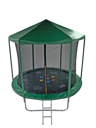 Батут 10FT 3,05м SportElite HOME с принтом, защитной сеткой, крышей и лестницей FR-30-10FT, фото 1