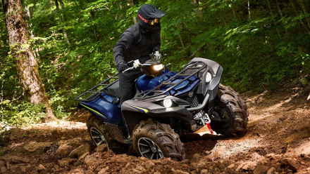 Квадроцикл YAMAHA Grizzly 700 EPS SE (ПСМ), фото 11