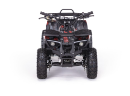 Квадроцикл MOTAX Grizlik X16 (PS), фото 4