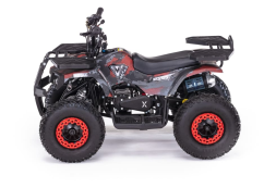 Квадроцикл MOTAX Grizlik X16 (PS), фото 3