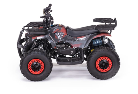 Квадроцикл MOTAX Grizlik X16 (PS), фото 3